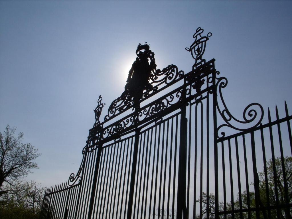 Chateau De Lacaze Lagarrigue  Zewnętrze zdjęcie